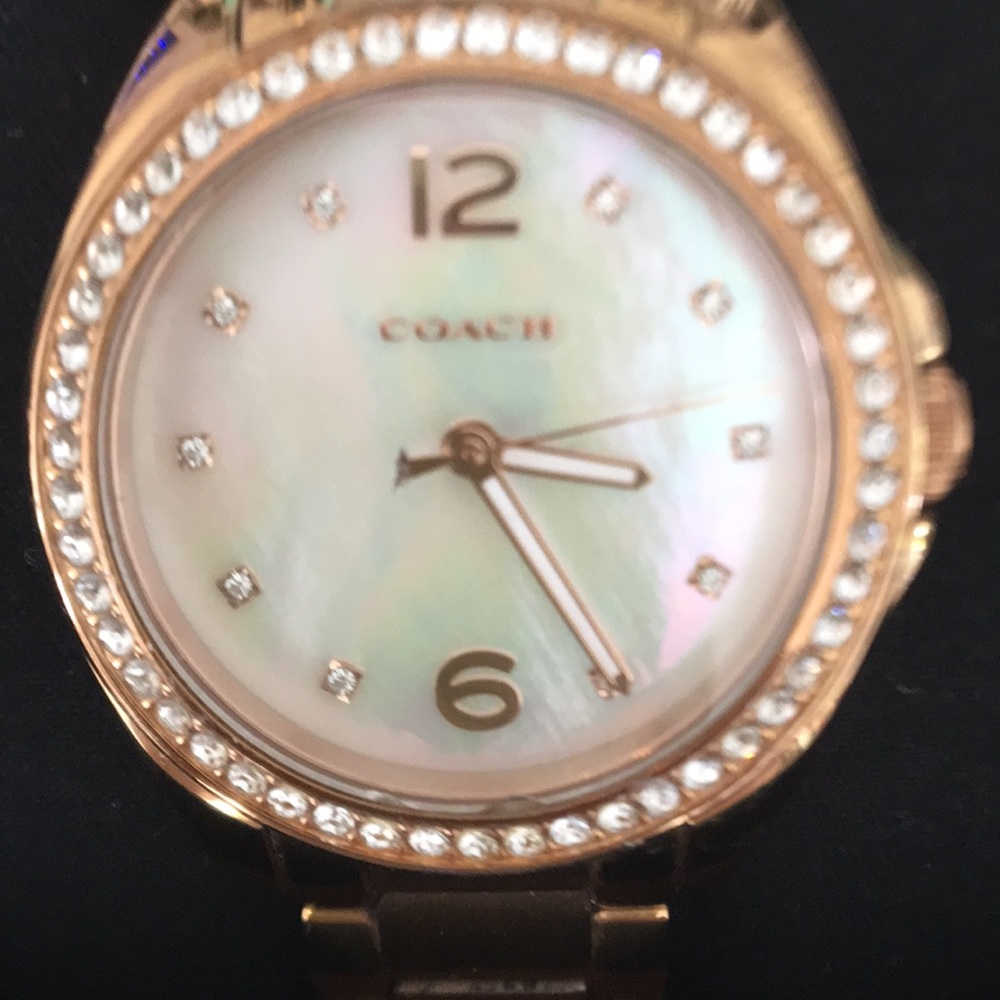 Coach watch